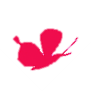  蝴蝶小圖檔.png